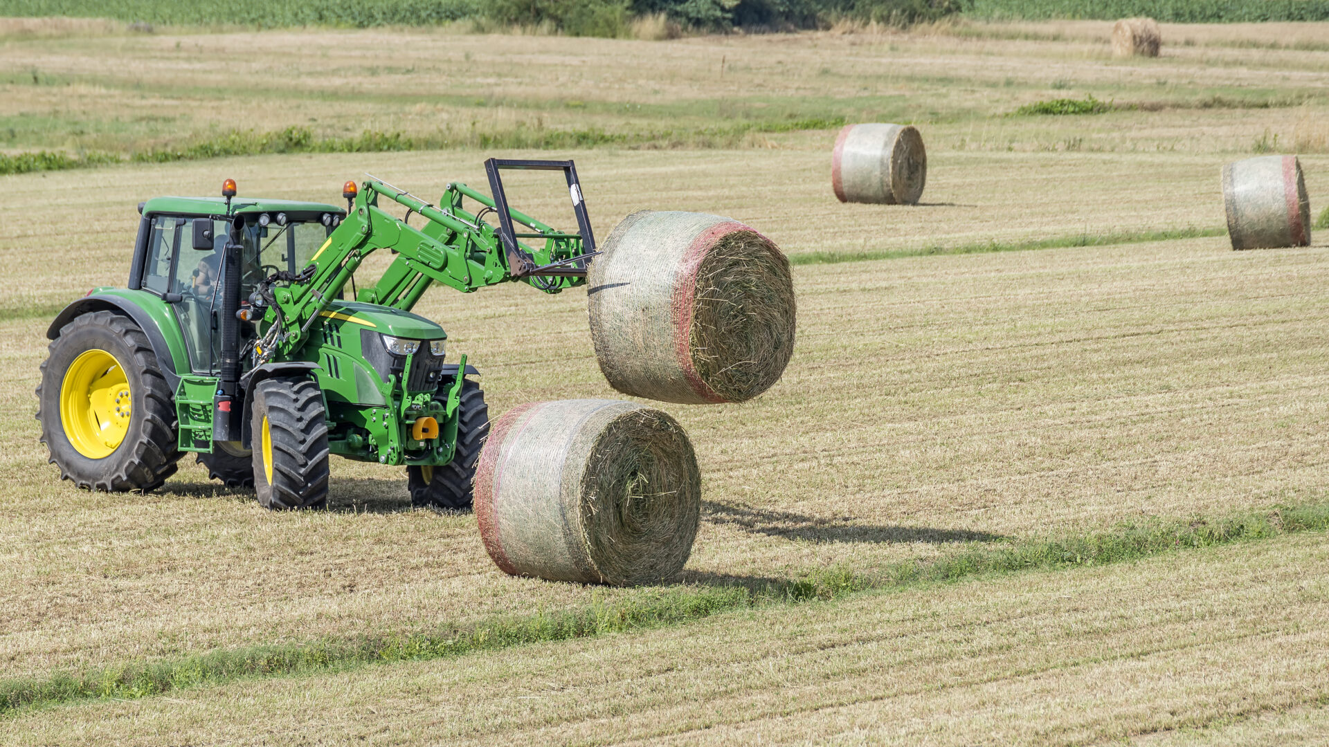 6 Industries Made More Efficient by Forklifts